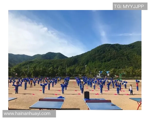 陈强的排球人生深度对话探索运动背后的坚持与梦想